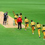 cricket