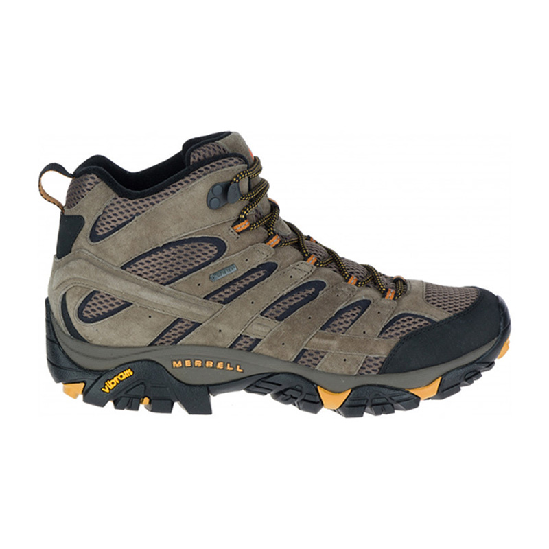 Moab 2 Leather Mid GTX - The Foot and Ankle Clinic